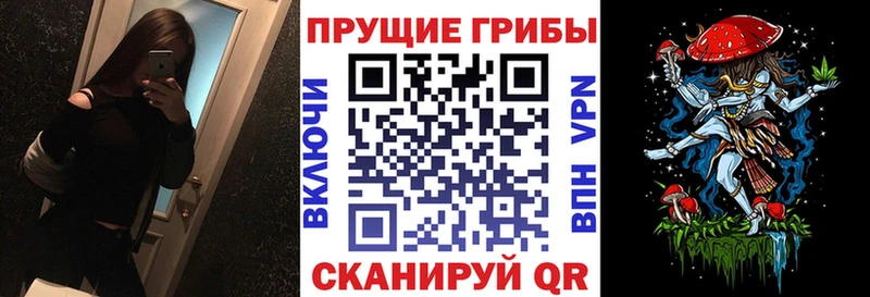 купить закладку  Северо-Курильск  Галлюциногенные грибы Cubensis 